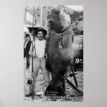 Real Big Fish, early 1900s Posters