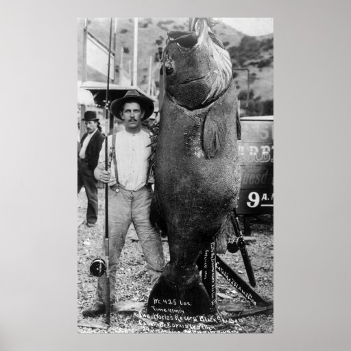Real Big Fish, early 1900s Posters