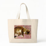 Real Cat, Fake Cat 2 Bags