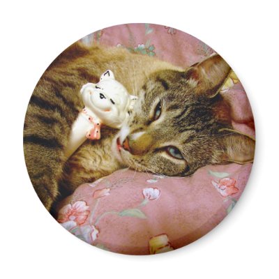 real cat pictures