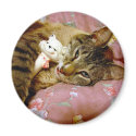 Real Cat, Fake Cat magnets by angelandspot Real Cat, Fake Cat magnets