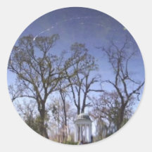 Real Fantasy Looking Pic Sticker