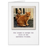 Real Friend cards