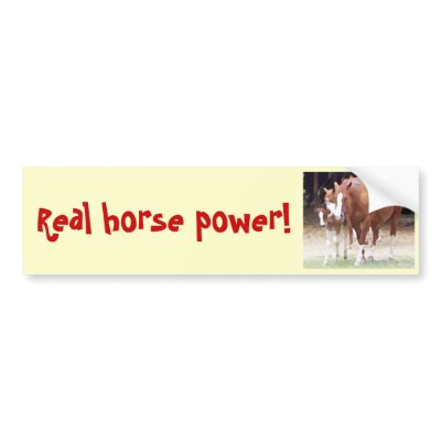 Real horse power! Bumper Sticker by patcallum