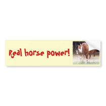 Real horse power! Bumper Sticker bumper stickers