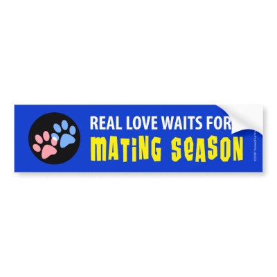 Real Love Waits for Mating Season Bumper Sticker