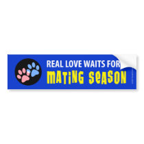 Real Love Waits for Mating Season bumper stickers by pocketfuzz Real Love Waits for Mating Season bumper stickers