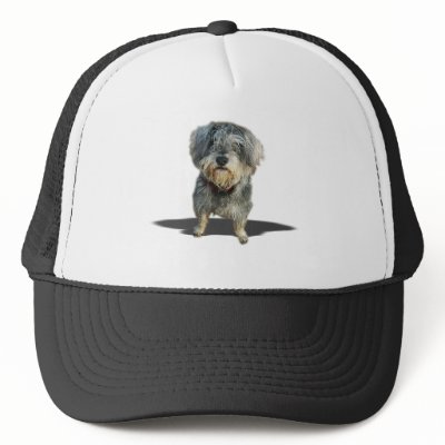 Real men don't brush! Hat by dogsdogsdogsdogsdogs