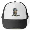 Real men don't brush! hats by dogsdogsdogsdogsdogs Real men don't brush! hats
