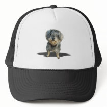 Real men don't brush! hats