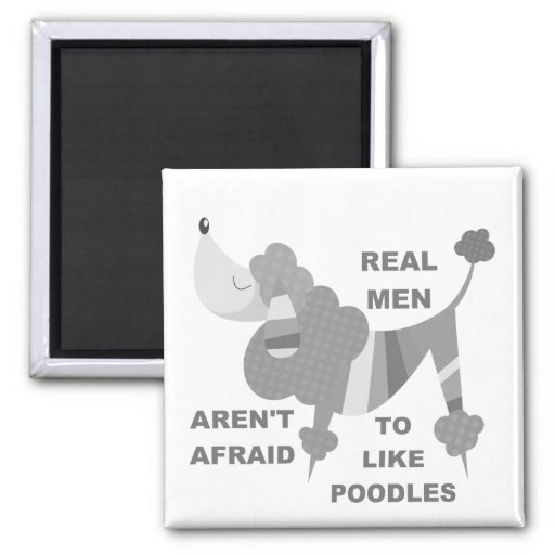 real_men_like_poodles_magnet-r48b824ec81
