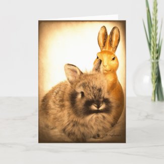 Real Rabbit and Fake Rabbit Card