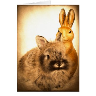 Real Rabbit and Fake Rabbit card
