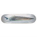REAL SHARK skateboard