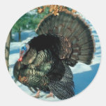 Real Turkey Round Stickers
