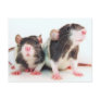 Real Women Own Rats! Post Cards