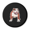 realistic bulldog design magnets by doonidesignsanimals realistic bulldog design magnets