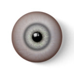 Realistic Eyeball Button