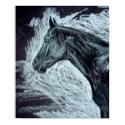 Realistic Horse Paintings ..Quarter Horse Pictures posters by FineArtDesigns Realistic Horse Paintings ..Quarter Horse Pictures posters