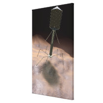 Realistic Illustration of bacteriophage Canvas Prints