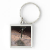 Realistic Illustration of bacteriophage Key Chains