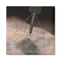 Realistic Illustration of bacteriophage Refrigerator Magnet
