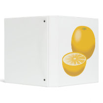 realistic orange tangerine vinyl binders
