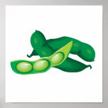 realistic pea pods posters