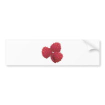 realistic raspberries bumper sticker