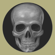 Realistic Skull stickers