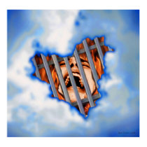 Realized Illusions posters