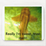 Really I'm sweet, trust me!!! Mouse Mats