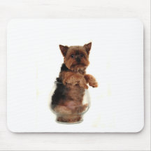 Really? Mousepads
