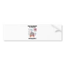 Reap The Rewards Of Fresh Air Breathe Deeply Bumper Sticker