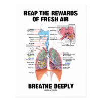 Reap The Rewards Of Fresh Air Breathe Deeply Postcard