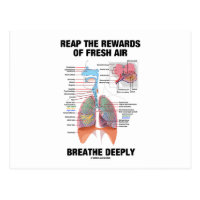 Reap The Rewards Of Fresh Air Breathe Deeply Postcard