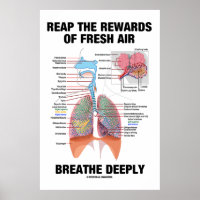 Reap The Rewards Of Fresh Air Breathe Deeply Poster