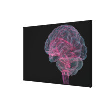 Rear view of the human brain stretched canvas prints