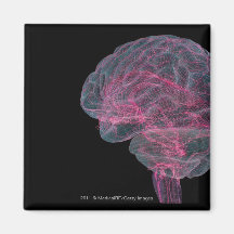 Rear view of the human brain fridge magnet