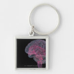 Rear view of the human brain keychain
