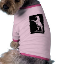 Rearing Andalusian Stallion pet clothing
