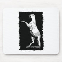 Rearing Andalusian Stallion Mousepad