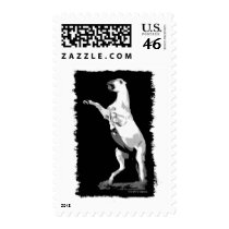 Rearing Andalusian Stallion Stamp