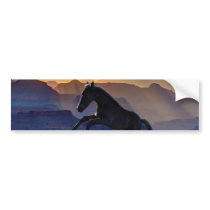 Rearing baby horse and canyons bumper stickers