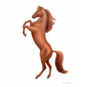 Rearing Chestnut Horse Scoop Neck Tee t-shirts