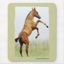 Rearing Colt mousepads by PaintingPony Rearing Colt mousepads