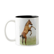 Rearing Colt mugs by PaintingPony Rearing Colt mugs