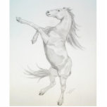 Rearing Horse, Acrylic Sculpture Photo Cutouts