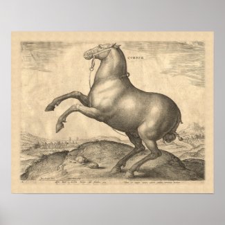 Rearing Horse Antique Renaissance Engraving