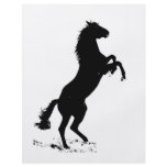 Rearing Horse flyers